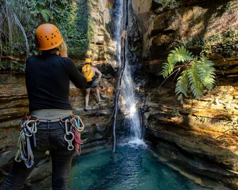 Blue Mountains: Abseiling and Juggler Canyon Adventure Tour - Key Points