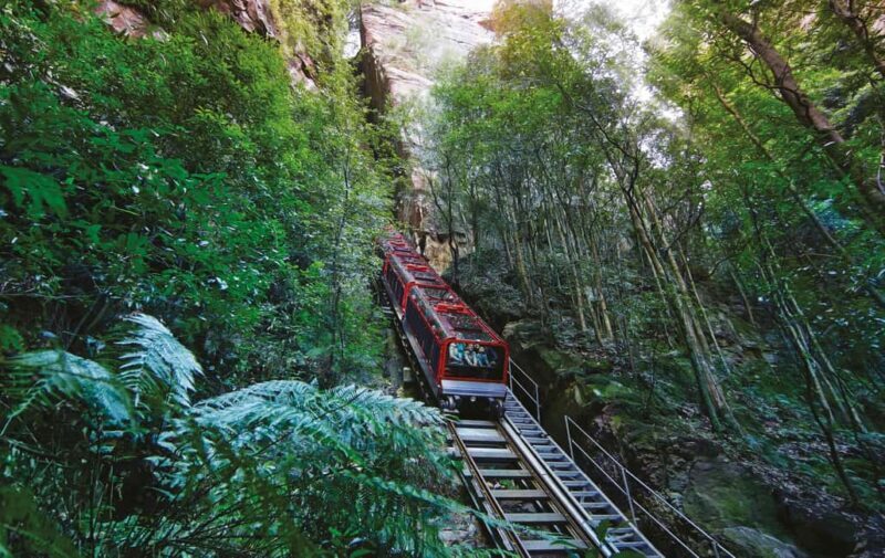 Blue Mountains Adventure: Scenic World, Zoo & Koala Photo - Exploring the Itinerary in Detail