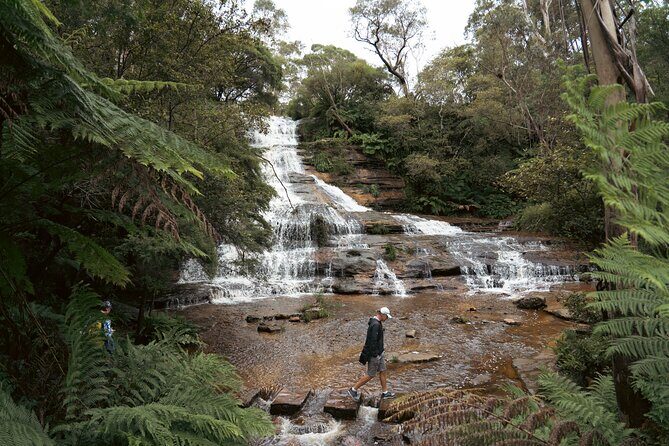 Blue Mountains Adventure w Scenic World, Zoo, Koala Photo & Ferry - The Practical Side: What You Need to Know
