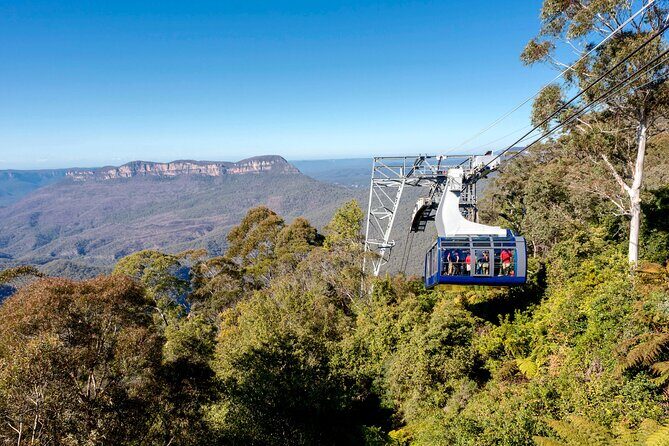 Blue Mountains Adventure w Scenic World, Zoo, Koala Photo & Ferry - The Sum Up: Is This Tour for You?