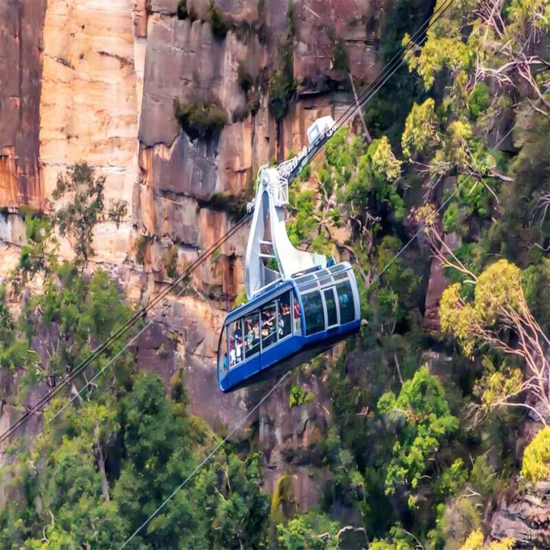 Blue Mountains Adventure: Wild Boar Rock & Cable Car - A Closer Look at the Itinerary