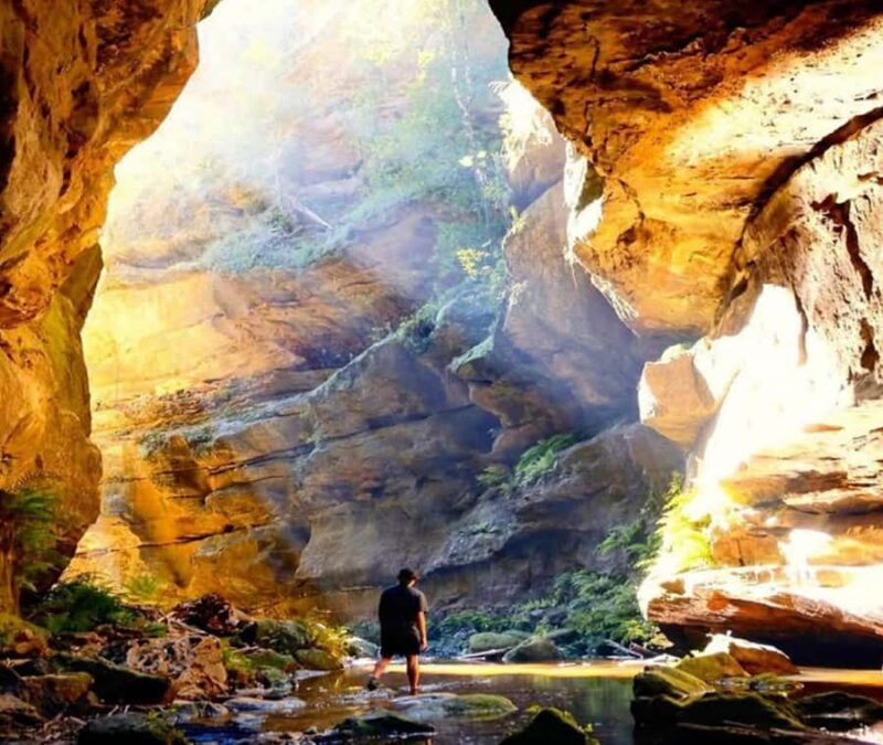 Blue Mountains Adventure: Wild Boar Rock & Cable Car - The Value of the Experience