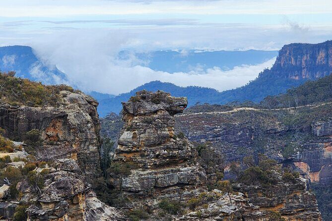 Blue Mountains and Wildlife Truly Private Luxury Tour - An In-Depth Look at the Experience