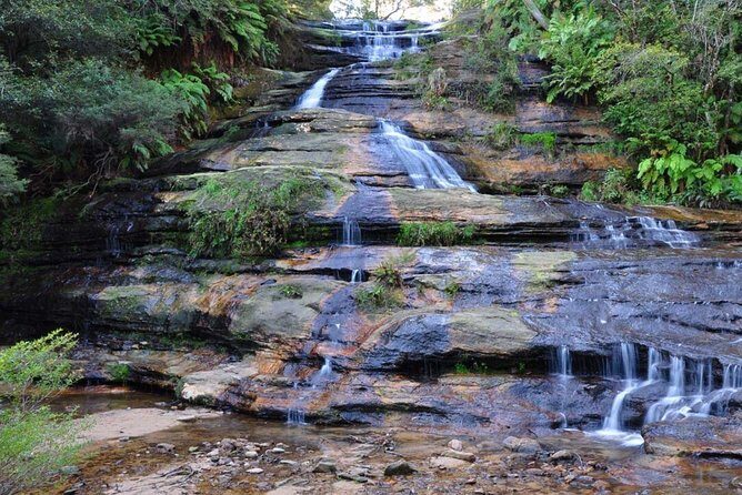 Blue Mountains: Cable Cars, Wildlife & Three Sisters Private Tour - Who Will Love This Tour?