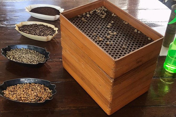 blue-mountains-coffee-private-tour-from-kingston