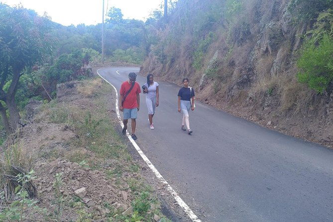 blue-mountains-coffee-private-tour-from-kingston