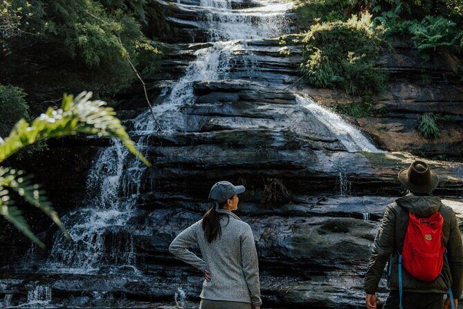 Blue Mountains Day Tour : Featherdale & Bush walk (15 ppl LUX) - Final Thoughts