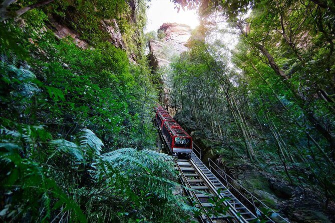 Blue Mountains Day Tour Including Parramatta River Cruise - Key Points