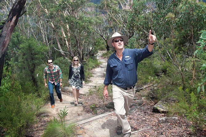 Blue Mountains Day Tour With Bushwalks, Waterfalls & Featherdale - First Impressions and What to Expect