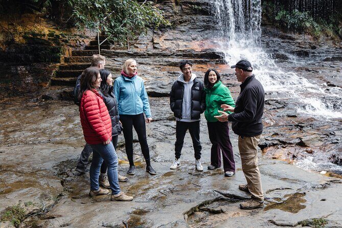 Blue Mountains Day Tour With Bushwalks, Waterfalls & Featherdale - The Return Journey and Final Stops