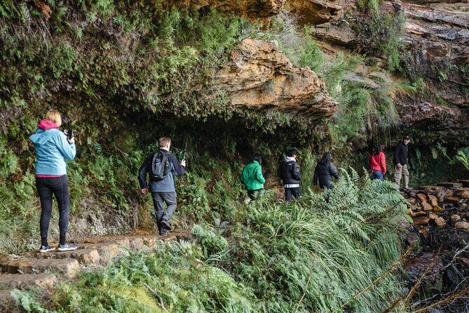 Blue Mountains Day Tour With Bushwalks, Waterfalls & Featherdale - Final Thoughts: Who Should Book This Tour?