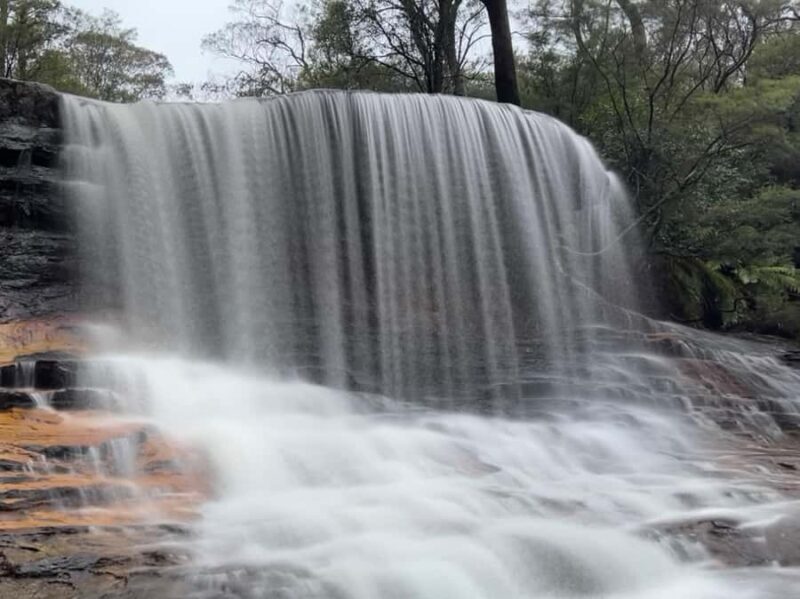 Blue Mountains day tour with Cruise, Scenic world pass & Zoo - Key Points