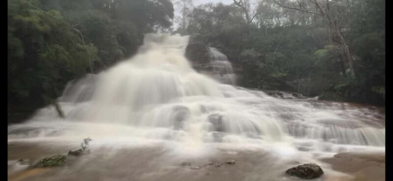 Blue Mountains day tour with Cruise, Scenic world pass & Zoo - The Itinerary: A Closer Look at the Day