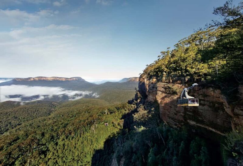 Blue Mountains day tour with Cruise, Scenic world pass & Zoo - Final Thoughts: Is It Worth Booking?