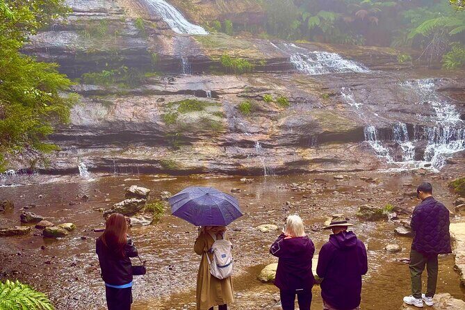 Blue Mountains Day Tours W Scenic World and Lunch - Authentic Insights from Real Reviews