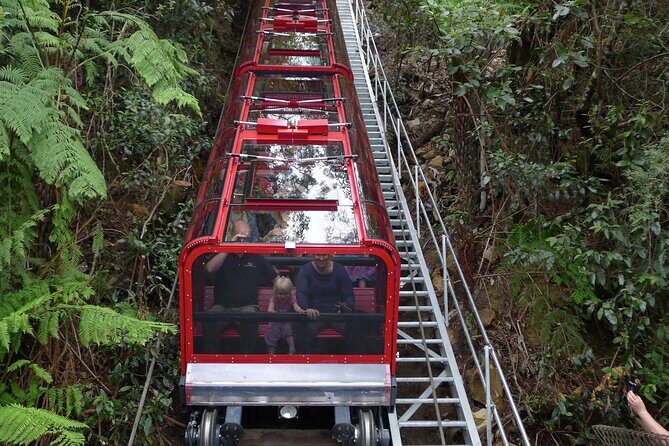 Blue Mountains Day Trip from Sydney Including Scenic World - Featherdale Wildlife Park: Close Encounters with Aussie Icons