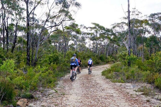 Blue Mountains Electric Bike Tour with Transport - The Experience Breakdown