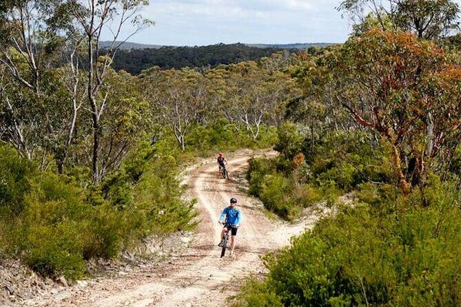 Blue Mountains Electric Bike Tour with Transport - Frequently Asked Questions