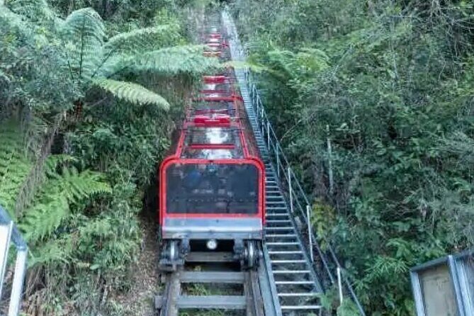 Blue Mountains Exclusive Private Tour - Katoomba Falls and Natural Serenity