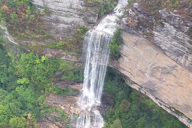 Blue Mountains Experience - Timeless Nature on a grand scale - Pros and Cons