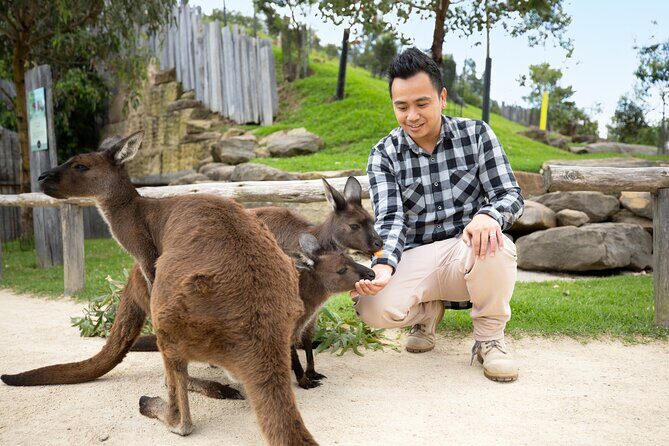 Blue Mountains Experience - Timeless Nature on a grand scale - Who This Tour Is Perfect For