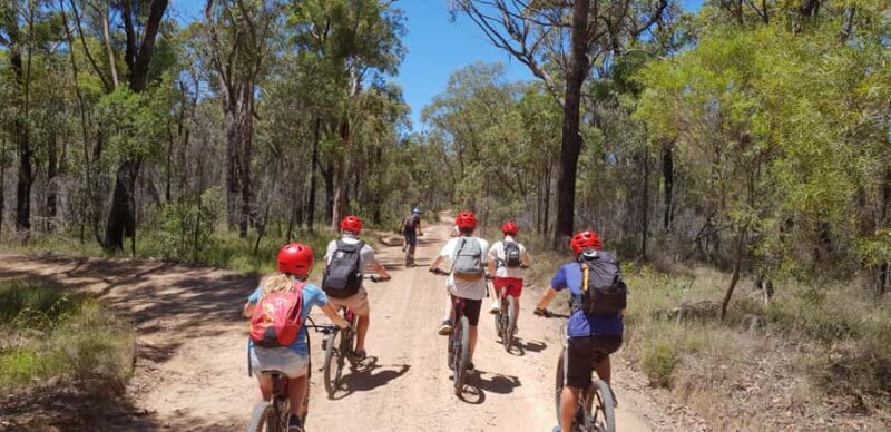 Blue Mountains: Guided Mountain e-Bike Tour, Blue Labyrinth - Exploring the Blue Mountains on a Guided Mountain e-Bike Tour