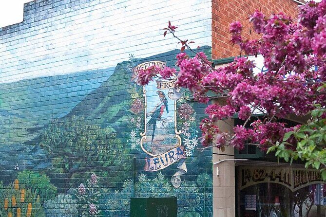 Blue Mountains Half Day Experience with Scenic World and Lookouts - Cost and Value