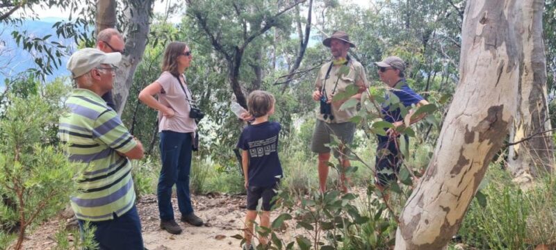 Blue Mountains: Inside a World Heritage National Park - Exploring the Itinerary: What to Expect