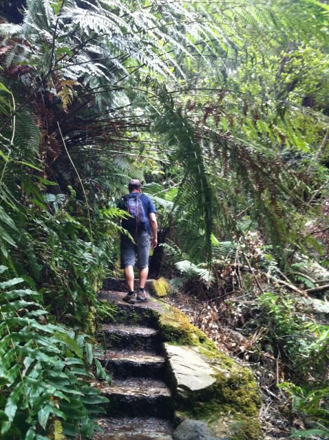 Blue Mountains: Inside a World Heritage National Park - Is This Tour Worth It?