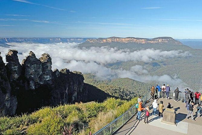 Blue Mountains | Koalas, Kangaroos & Bondi Beach Private Tour - Exploring the Blue Mountains, Koalas, Kangaroos & Bondi Beach Private Tour: A Detailed Review