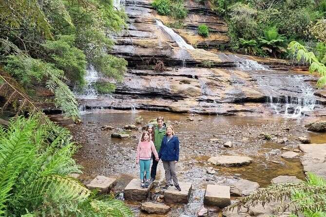 Blue Mountains | Koalas, Kangaroos & Bondi Beach Private Tour - Final Thoughts: Is This Tour Right for You?