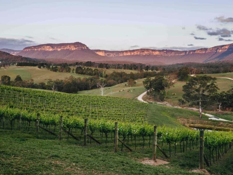 Blue Mountains: Megalong Valley Wine Tasting & Lunch - Who Is This Tour Best For?