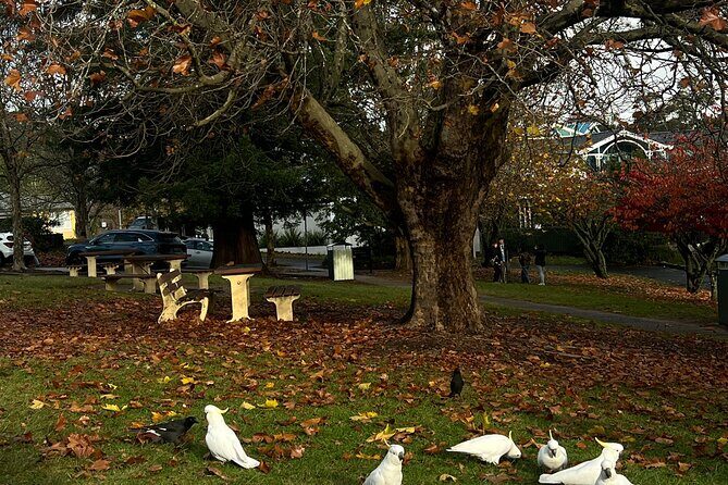 Blue Mountains Private Group Day Tour from Sydney - The Sum Up: Is This Tour Worth It?