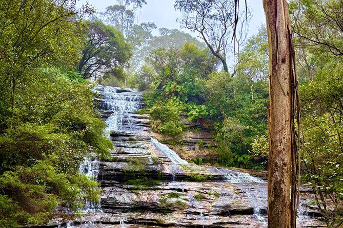 Blue Mountains Private Sightseeing Day Tours from Sydney - A Closer Look at the Itinerary and Experiences