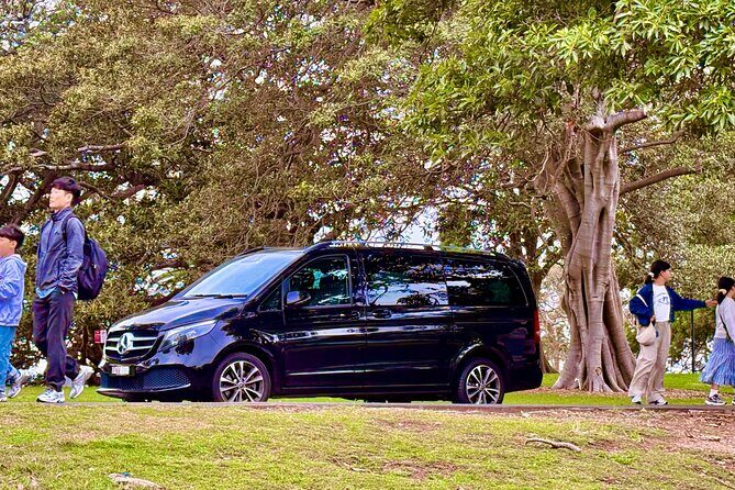 Blue Mountains Private Sightseeing Day Tours from Sydney - Who Is This Tour Best Suited For?