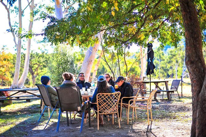 Blue Mountains Private Tour from Sydney - The Sum Up