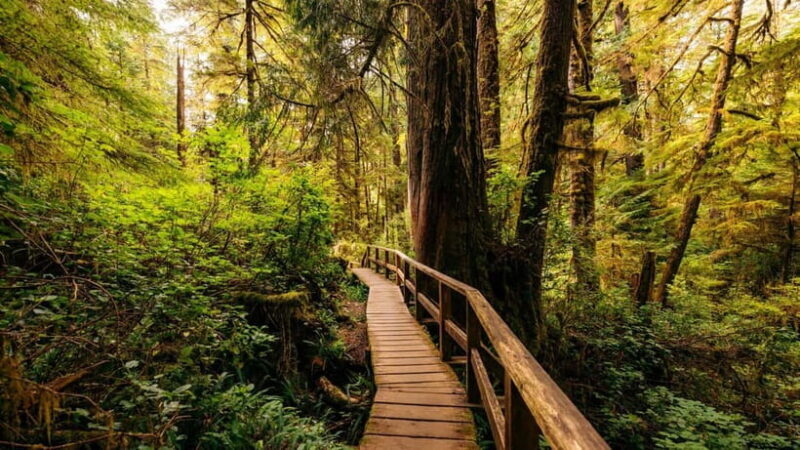 Blue Mountains Private Tour from Sydney - Who Is This Tour Best For?