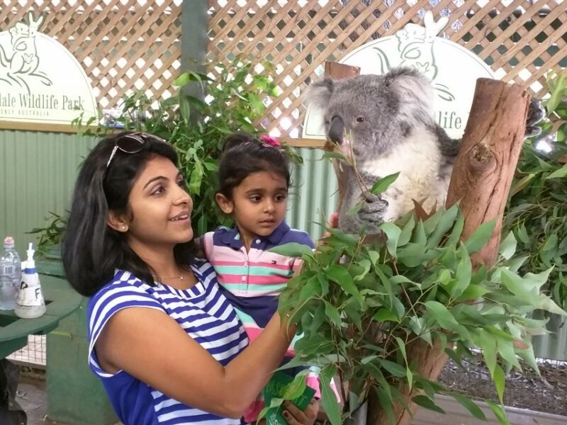 Blue Mountains private tour with Featherdale Wildlife Park - The Itinerary in Detail