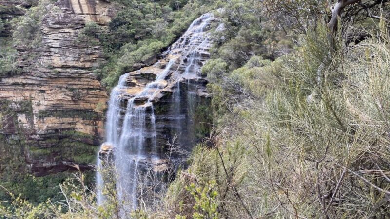 Blue Mountains private tour with Featherdale Wildlife Park - Who Would Love This Tour?