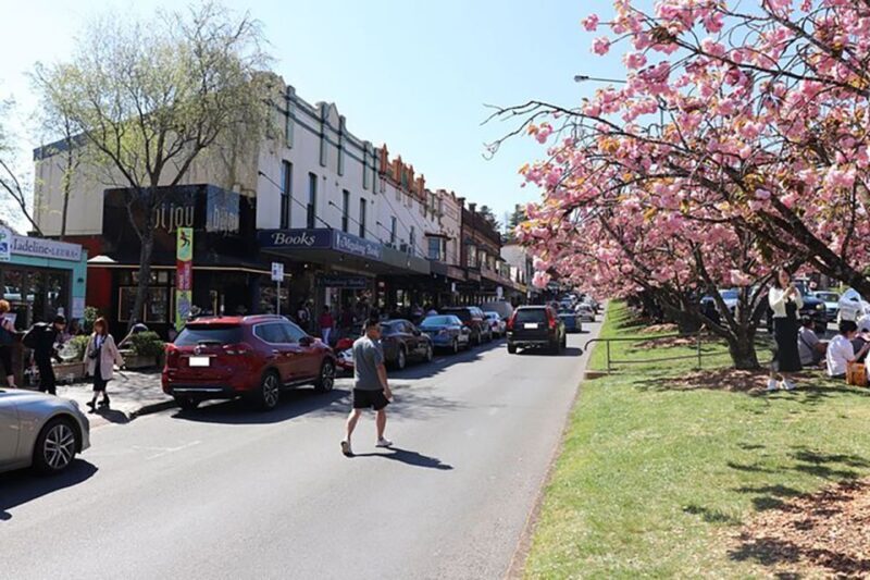 Blue Mountains: Private Tour with Wildlife and River Cruise - The Sum Up