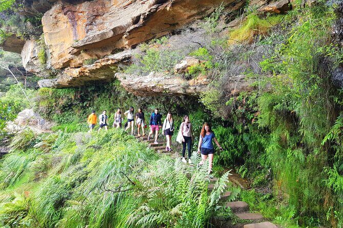 Blue Mountains Small Group Tour with Waterfall Walk & Fresh Lunch - The Details of the Tour
