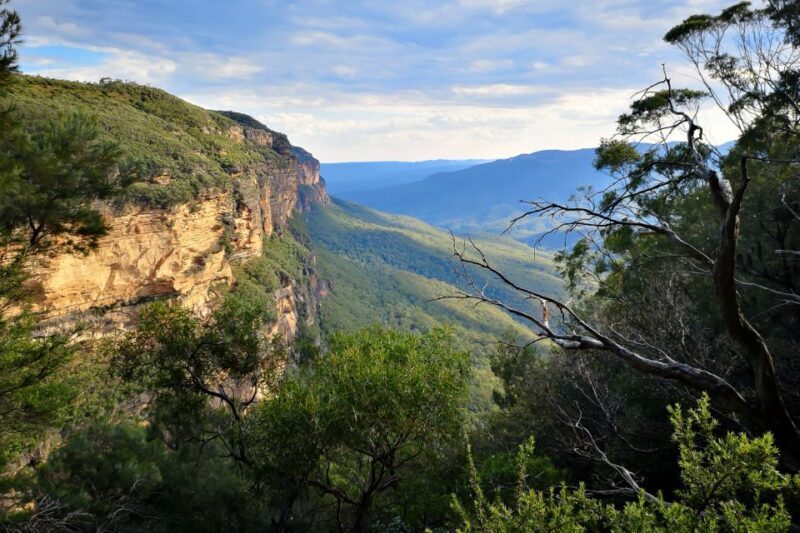 Blue Mountains: Sunset Waterfalls Wildlife Tour From Sydney - A Comprehensive Look at the Blue Mountains Sunset Waterfalls Wildlife Tour