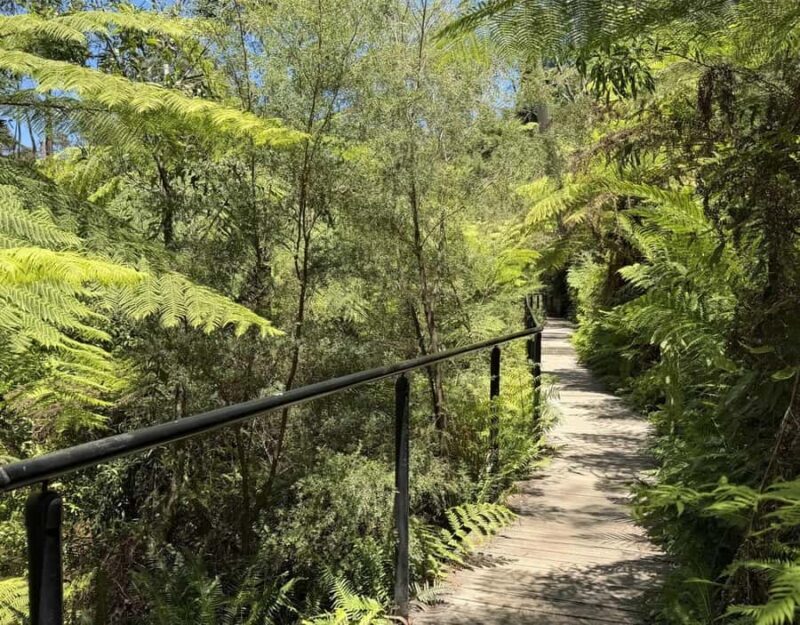 Blue Mountains Tour, Katoomba Falls & Cockatoos Small Group - A Closer Look at the Itinerary and Experience