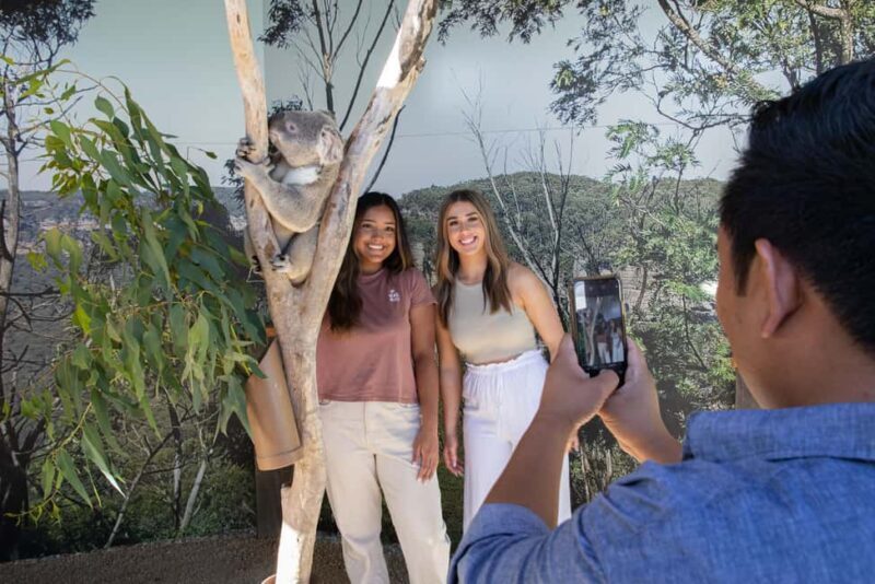Blue Mountains Tour w/Lunch: Scenic World, Zoo & Koala Photo - Lunch and Wildlife Encounters