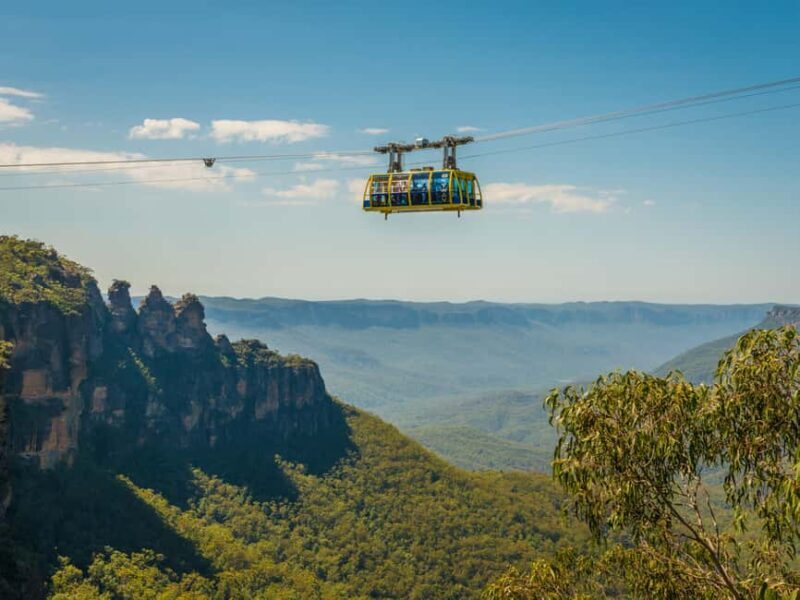 Blue Mountains Tour w/Lunch: Scenic World, Zoo & Koala Photo - The Final Touch: Sydney Harbour Ferry Ride