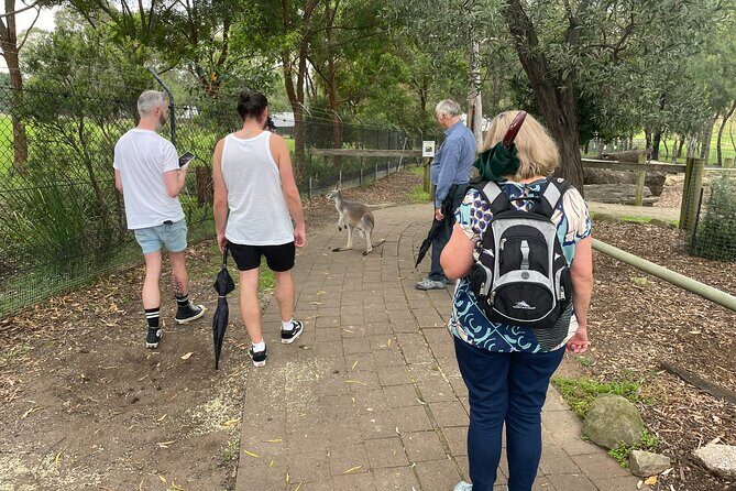 Blue Mountains Wildlife Full-Day Sights and Hiking from Sydney - Final Thoughts: Is It Worth It?