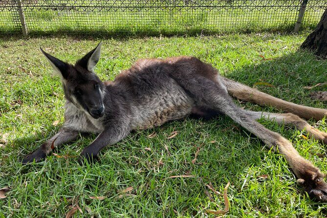 Blue Mountains Wildlife Full-Day Sights and Hiking from Sydney - FAQ
