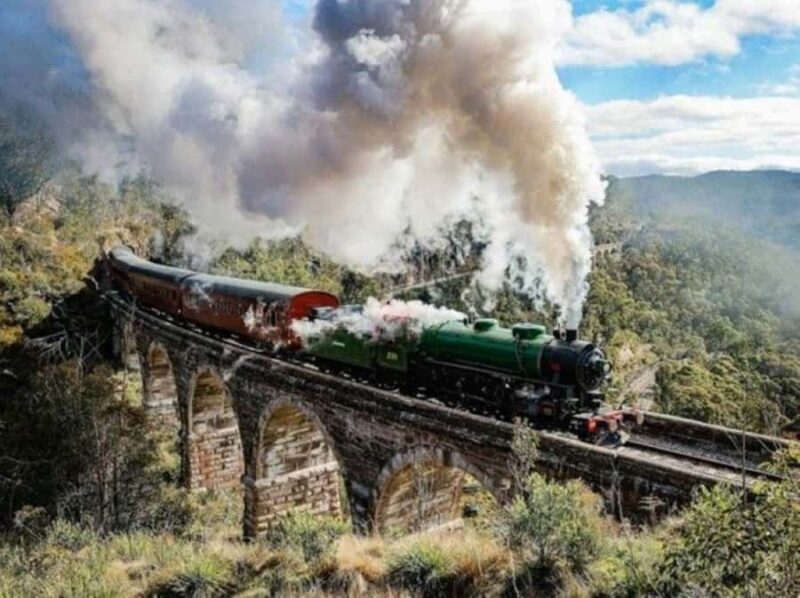 Blue Mountains, Zig Zag Railway and Botanical Gardens Tour - Who Will Love This Tour?