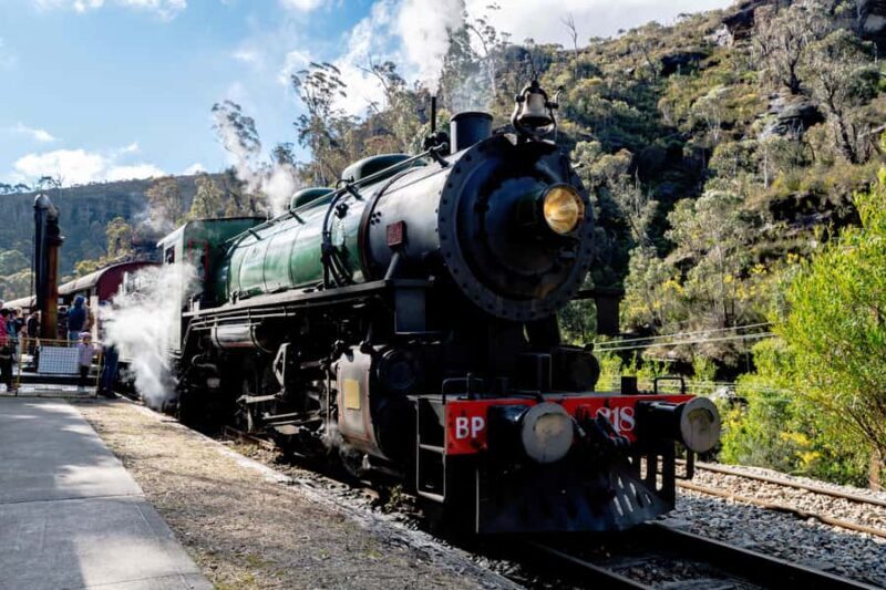 Blue Mountains, Zig Zag Railway and Botanical Gardens Tour - The Sum Up