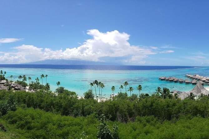 Blue Pearl Private Tour - Exploring Moorea with the Blue Pearl Private Tour